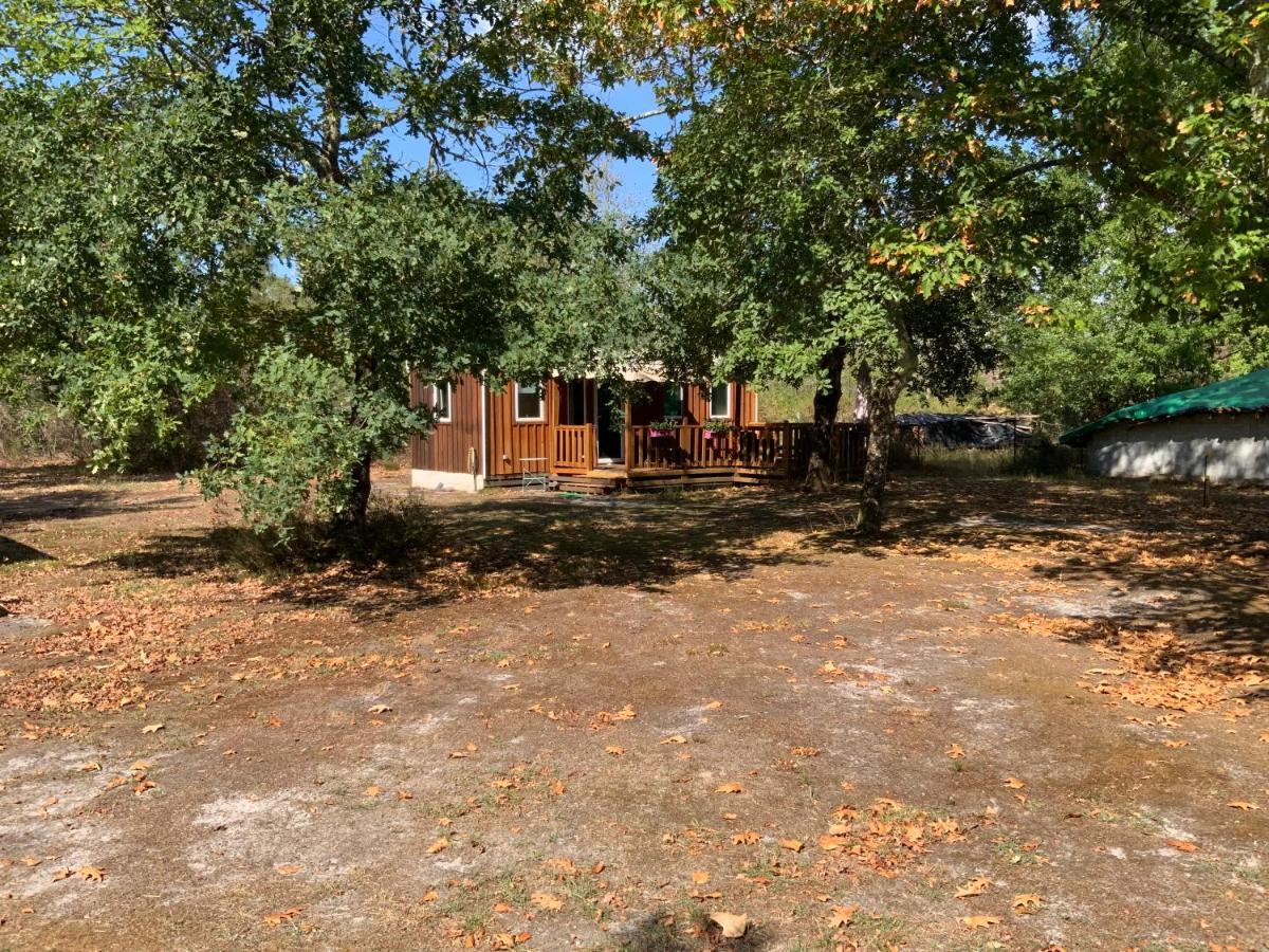 Domaine De Labelo Bed and Breakfast Commensacq Buitenkant foto