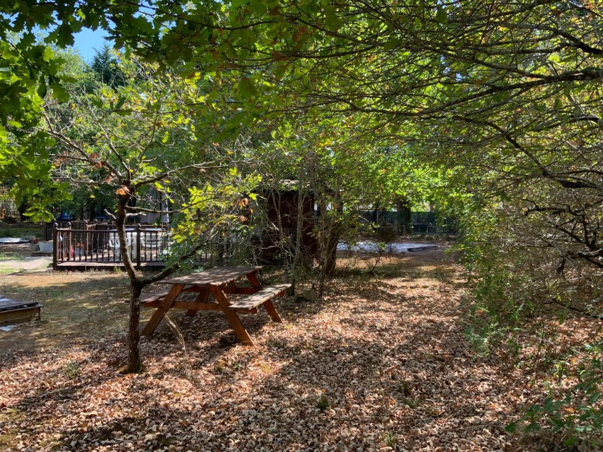 Domaine De Labelo Bed and Breakfast Commensacq Buitenkant foto
