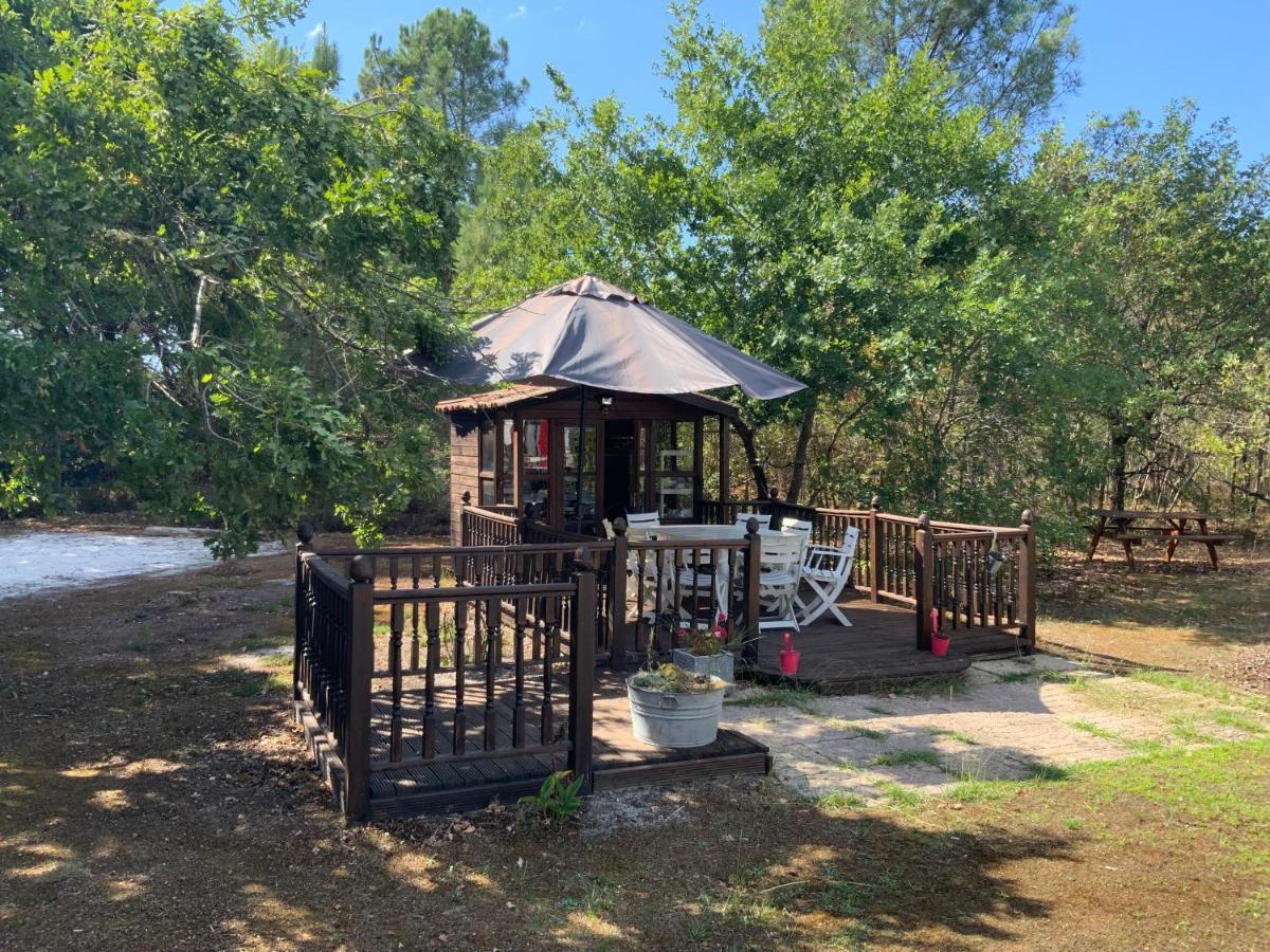 Domaine De Labelo Bed and Breakfast Commensacq Buitenkant foto